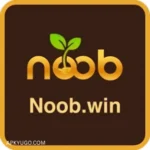 Noob Win