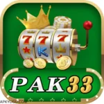 PK33 Game