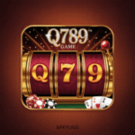 Q789 Game