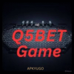Q5Bet Game